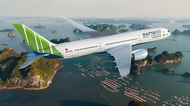 Bamboo Airways thông tin việc chậm nộp thuế của Tổng giám đốc - Ảnh 1.