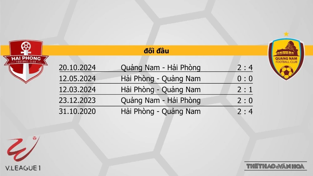 Nhận định bóng đá V-League hôm nay 19/1: Nam Định vs Thể Công, Đà Nẵng vs Hà Nội - Ảnh 11.